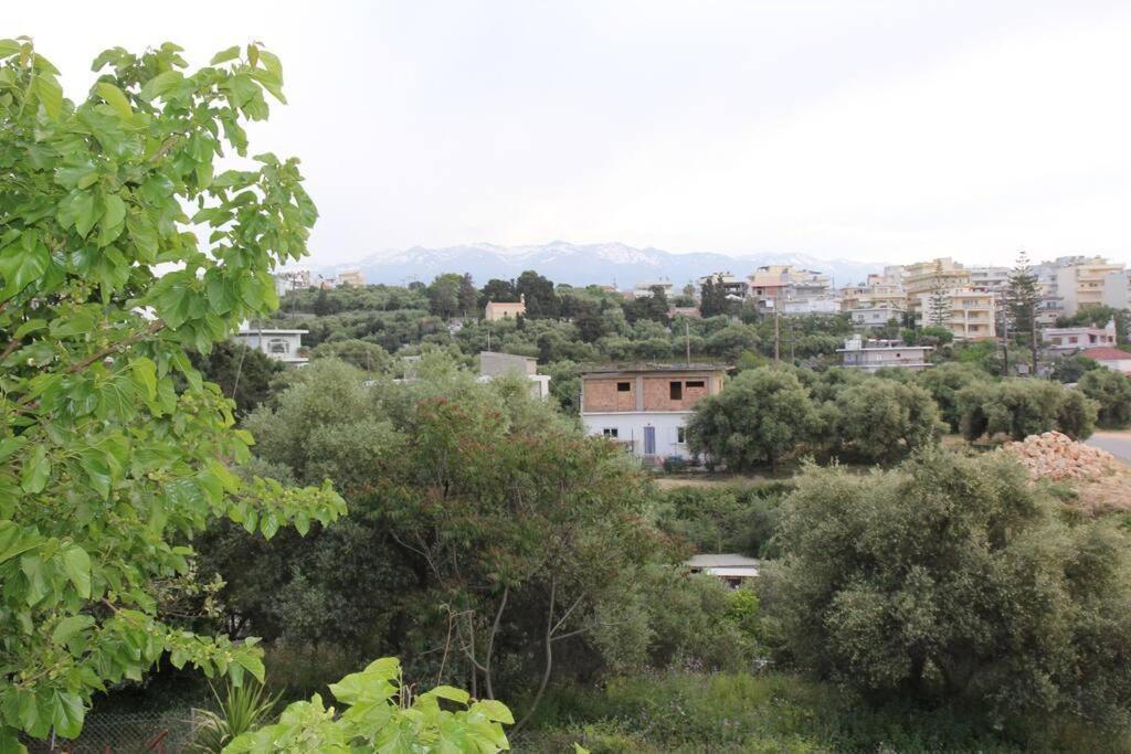 Άνετο Και Πολυτελές Οροφοδιαμέρισμα 2 干尼亞 外观 照片